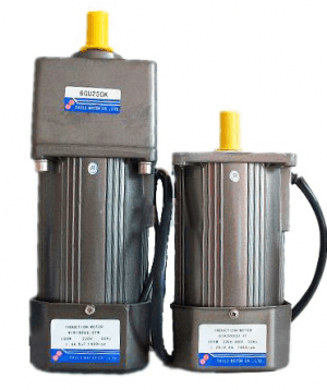 Reverse Gear Motors 250W
