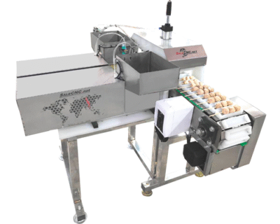 เครื่องเสียบไม้อัตโนมัติแบบสายพาน Automatic Stick Machine
