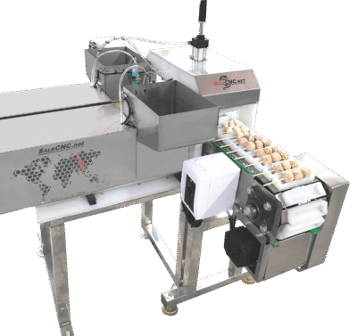(New) Automatic ‘Pork’ Skewer Machines 2 Heads, Double